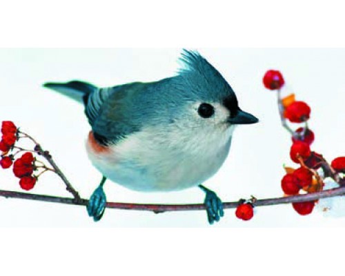 Desk Calendar DC13